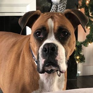 Meet your Posher, Mark